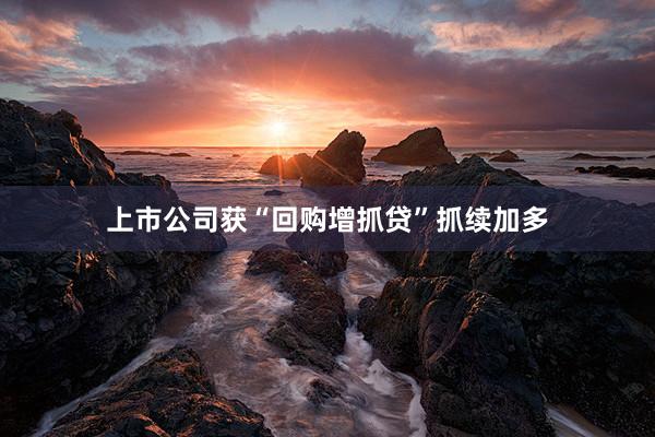 上市公司获“回购增抓贷”抓续加多
