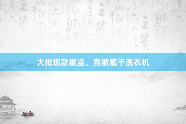 大批现款被盗，竟被藏于洗衣机
