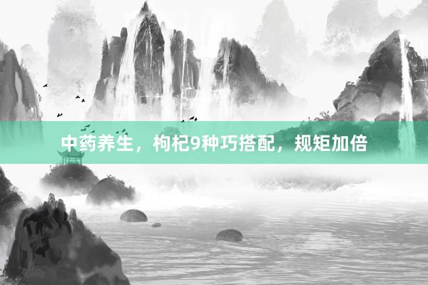 中药养生，枸杞9种巧搭配，规矩加倍